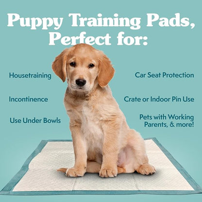 Simple Solution XL Potty Training Pads, Leak Proof Pads, 28"x30" 100 Count | Dog Training Pads, Puppy Potty Training, Housebreaking, Disposable Pee Pads, Floor Protection, Indoor Potty, Puppy Essentials