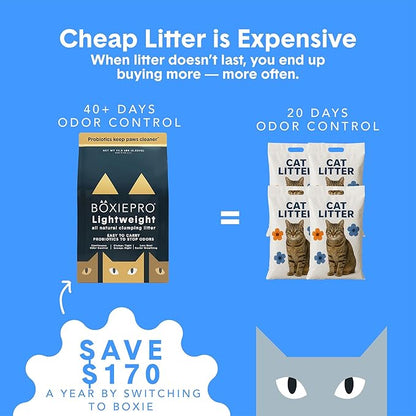 Boxie Probiotic Lightweight Cat Litter 40 Day Odor Control, Odor Eliminating Probiotics, 99.9% Dust Free, Multi-Cat, 11.5 lb