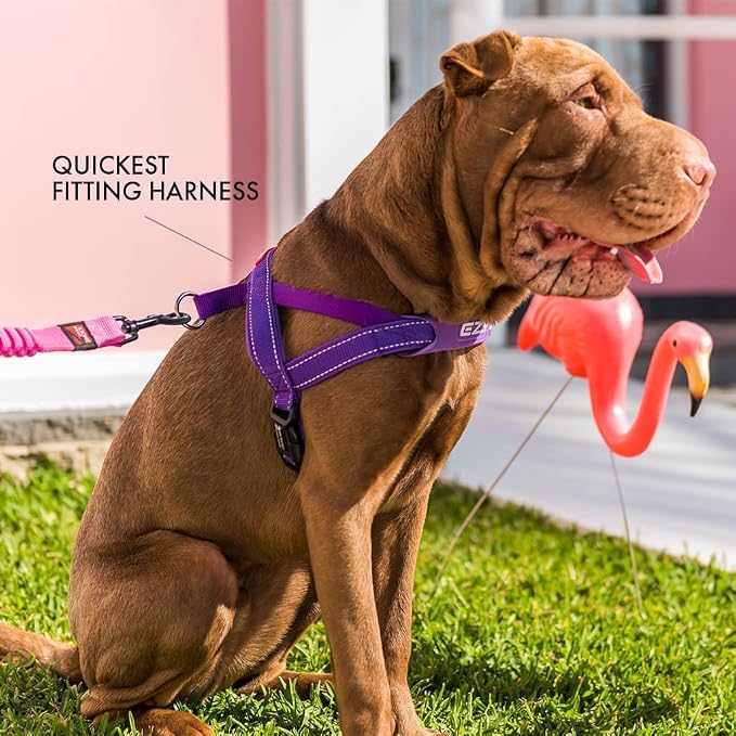 EzyDog Quick Fit Dog Harness, Soft Neoprene Padding - XX-Small, Orange | Fast One-Click Buckle, Adjustable Fit, Strong Reinforced Materials, Reflective Stitching, No Pull Dog Harness, Easy Walking