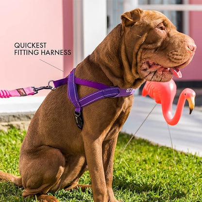EzyDog Quick Fit Dog Harness, Soft Neoprene Padding - X-Small, Corduroy | Fast One-Click Buckle, Adjustable Fit, Strong Reinforced Materials, Reflective Stitching, No Pull Dog Harness, Easy Walking