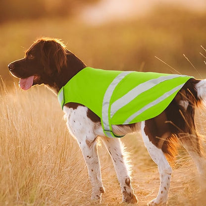 Kuoser Reflective Dog Vest, High Visibility Safety Vest for Medium to Large Dogs, Lightweight Pet Reflective Vests for Hunting Outdoor Activities Walking at Night, Fluorescent Green XL