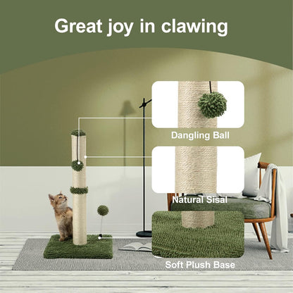 MECOOL Cat Scratching Post Premium Basics Kitten Scratcher Sisal Scratch Posts with Hanging Ball 22in for Kittens or Smaller Cats, Cactus Green