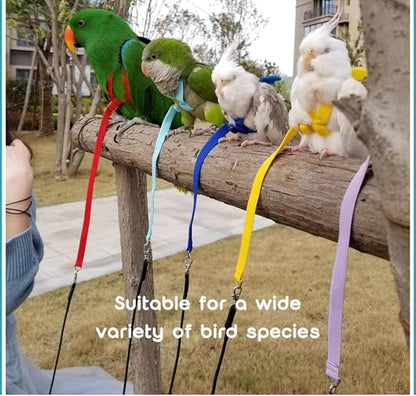 Adjustable Bird Harness with Elastic Leash, Pet Parrot Harness and Leash, Adjustable Training Design Anti-Bite, Bird Nylon Rope with Cute Wing for Conure (Orange,Sulphur-Crested Cockatoo)