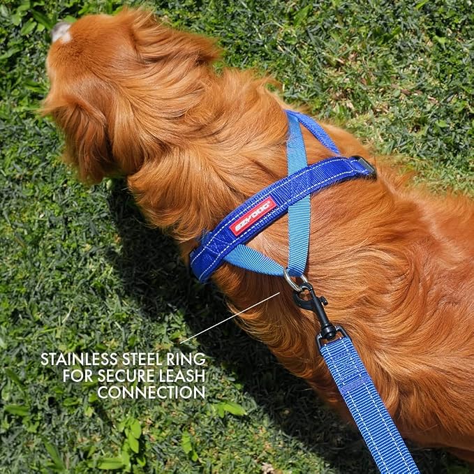 EzyDog Quick Fit Dog Harness, Soft Neoprene Padding - XX-Small, Orange | Fast One-Click Buckle, Adjustable Fit, Strong Reinforced Materials, Reflective Stitching, No Pull Dog Harness, Easy Walking