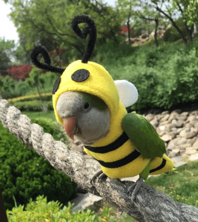 Bird Costume Diaper Flight Suit Bee Shape Hoodie Clothes Cosplay Photo Prop for Parrots Parakeet Cockatiel Sun Conure, Small Animals Apparel (Bee with Diaper, Small), Green (BPF1)