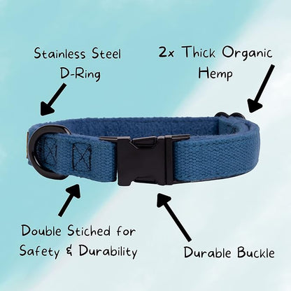 Pawsitive Hemp Dog Collar - Super Soft Hypoallergenic Lining. Great for Small, Medium and Large Dogs; Medium Forest Green