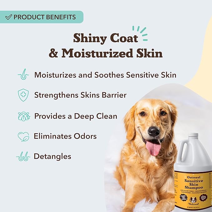 Natural Dog Company Sensitive Skin Dog Shampoo Gallon – 128 oz Oatmeal Hypoallergenic Formula with Aloe, Manuka Honey & Chamomile – Soothes Itchy, Dry, Flaky Skin – Groomer & Multi-Dog Household Size