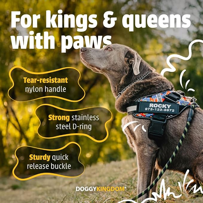 Personalized Dog Harness with Custom Name Patches, Adjustable Reflective No Choke Dog Vest with Handle for Extra Large Dog, Camouflage Pink, XL