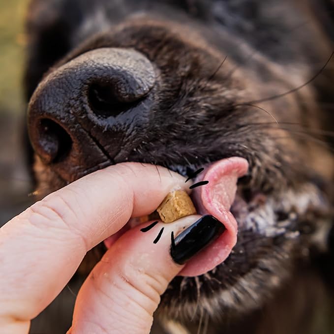 Spot & Tango Beef Dog Training Treats - 100% Beef Liver, Freeze-Dried Dog Snack - Grain & Gluten-Free - for Small, Medium, and Large Dogs - for Puppies Through Seniors