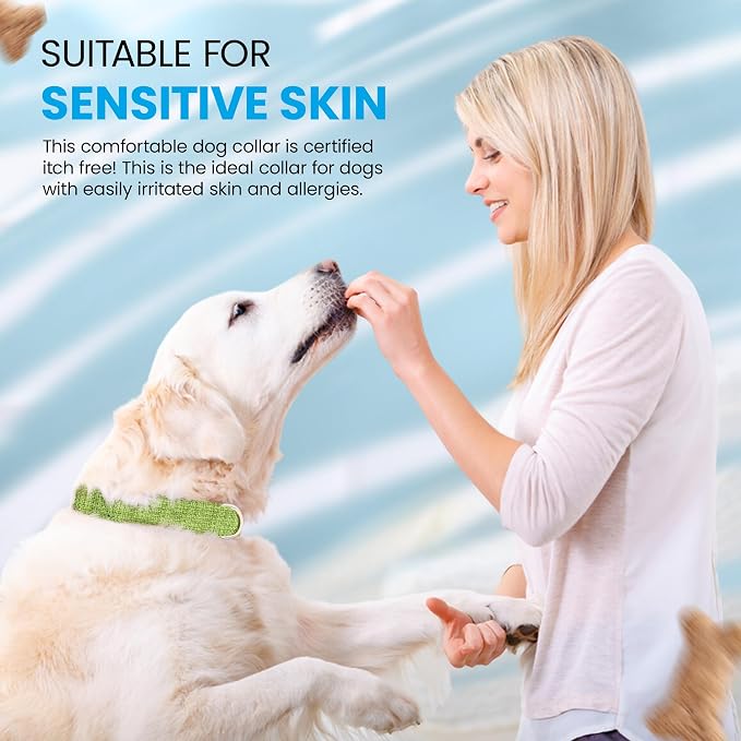 Hypoallergenic Dog Collar - Great for Sensitive Skin, Soft Collar for Dogs, Soft Organic & Earth Friendly (Large, Grey)