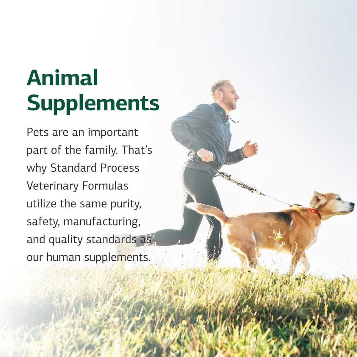 Standard Process Inc. Canine Cardiac Support - Dog Heart Health Supplement - Nutritional Formula to Support Cardiac Function - Pet Health Supplement with Selenium - 25 g