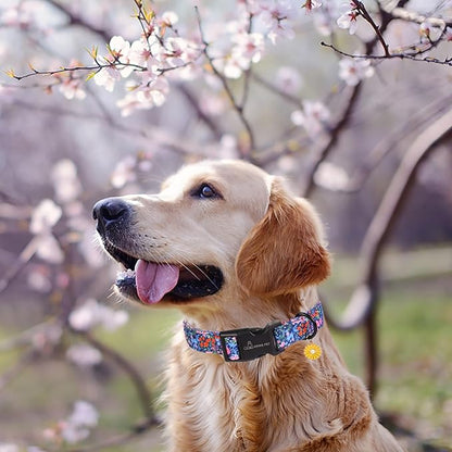 ARING PET Floral Dog Collar, Cute Blue Pink Orange Spring Summer Flower Doggy Pet Collars for Puppy Small Medium Large Girl Female Dogs-XL