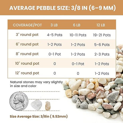 3/8 Inch Decorative Pebbles, River Rocks for Indoor Plants, Succulents, Planters, Vases, Fish Tank, Aquarium Gravel & Landscaping, Mixed Color, 6LB