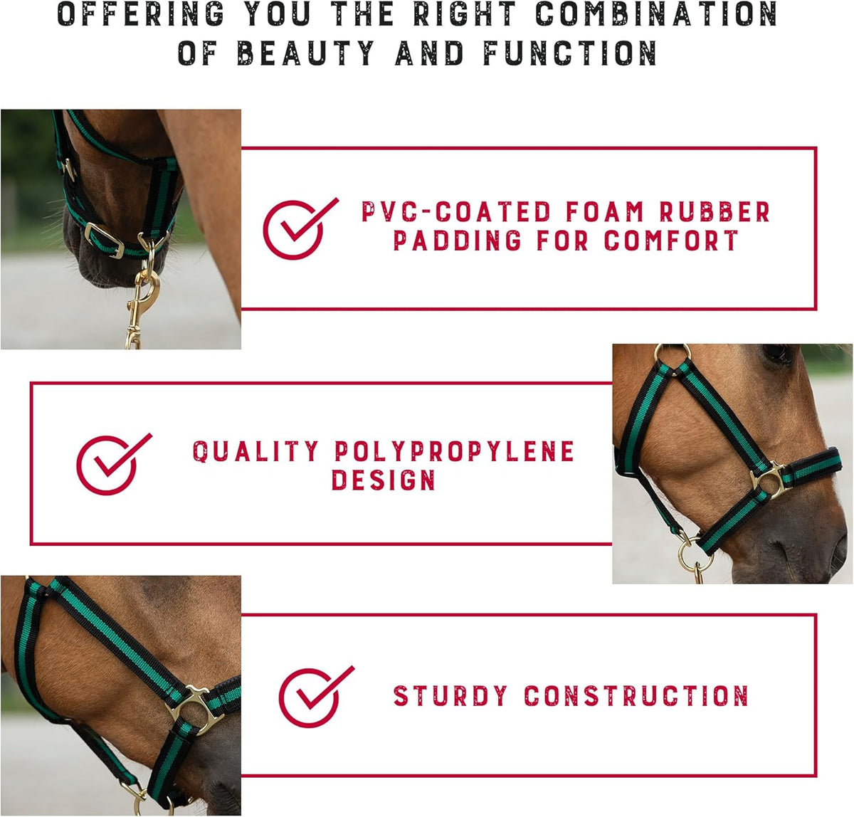 Weaver Equine Breakaway Horse Halter, Comfort Foam Padding, Adjustable Chin & Throat Snap Halters for Horses, Equine Tack,Average Size, Green
