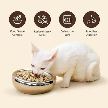 Pebble Pet Bowl Deep Chrome, Ergonomic Dog Cat Feeding Bowl, Flat-Faced Breed, Tilted Ceramic Pet Food Dish, Scooper Eater, Anti-Spill Design, Dishwasher Safe, Modern Pet Bowl, Dry & Wet Diet