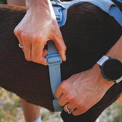 Ruffwear, Front Range Flex Dog Harness, Engineered Knit Construction for Ultimate Fit and Mobility, Lightweight Flexible Everyday Harness with Dual Leash Clips, Basalt Gray, XXX-Small