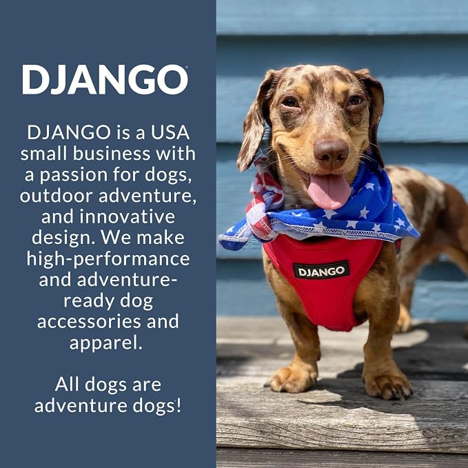 Adventure Dog Harness - Stylish Large Dog Harness for Outdoor Adventures and Everyday Wear - Dandelion Yellow Neoprene Adjustable Harness for Dogs with Reflective Piping and Solid Brass D-Ring