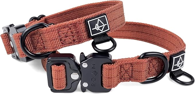 Made to ROAM Premium Dog Collar - Adjustable Heavy Duty Nylon Collar with Quick-Release Metal Buckle (Arizona Sunkissed, Classic Size 5)