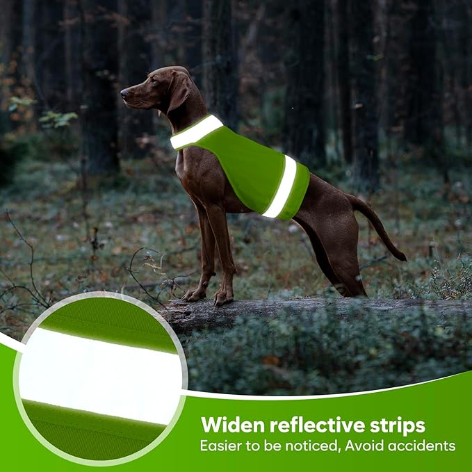 2 Pieces High Visibility Reflective Dog Hunting Vest Pet Safety Vest, Make Dog More Visible and Safe in Hunting Season Outdoor Activities Walking (Fluorescent Green&Blaze Orange,S)