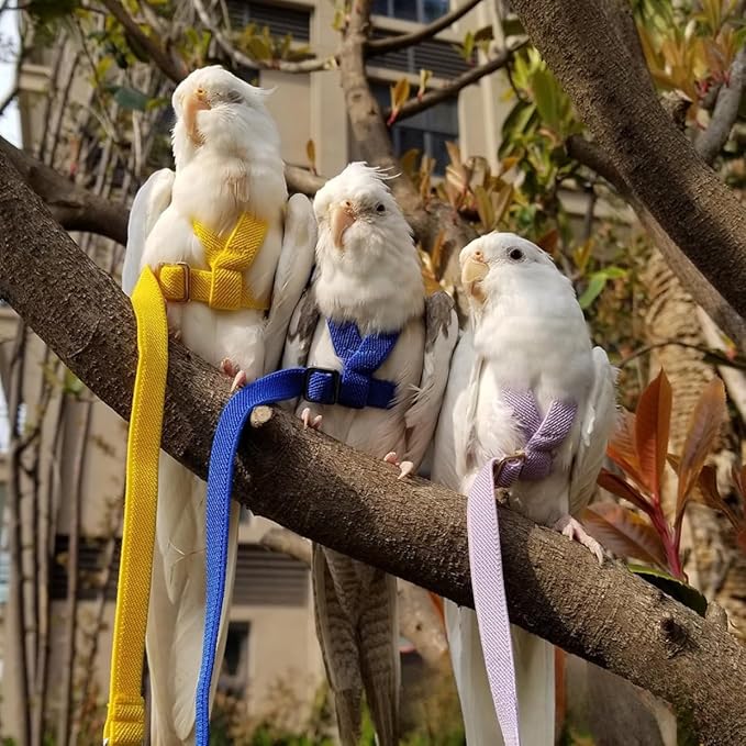 Adjustable Bird Harness with Elastic Leash, Pet Parrot Harness and Leash, Adjustable Training Design Anti-Bite, Bird Nylon Rope with Cute Wing for Conure (Pink,XXL)