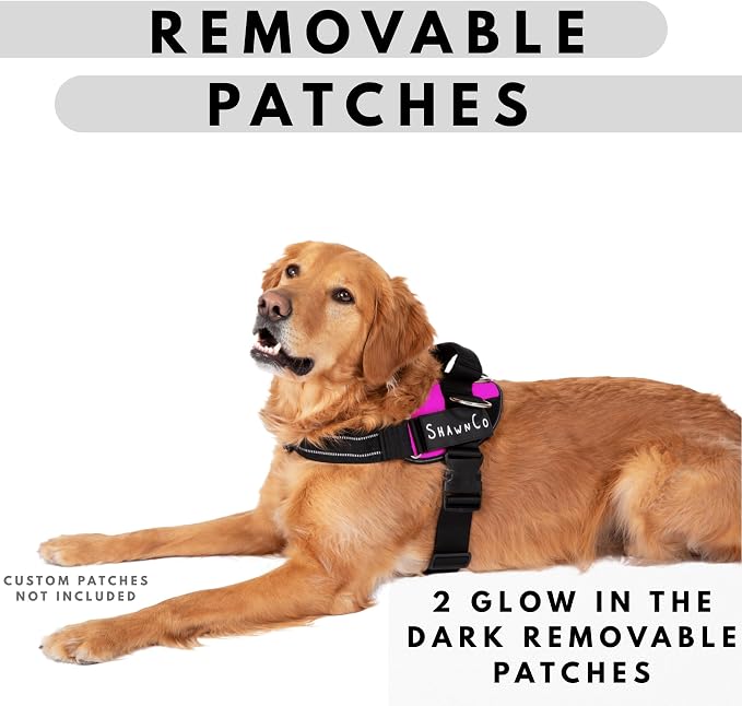 ShawnCo Essential Pro Dog Harness, No-Pull Pet Vest with 3 Leash Clips and Removable, Reflective Side Patches, Adjustable and Padded Harness for Small, Medium and Large Dogs (ICY Lilac, L)