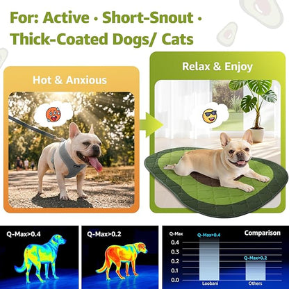 LOOBANI Dog Cooling Mat 60"x40"- Cute Avocado Design Cooling Mat for Dogs (Cool & Warm Side), Waterproof Self-Cooling Mat for Crate, Floor, Car for Medium Dogs, Cats, Pet, Green 60"x40"