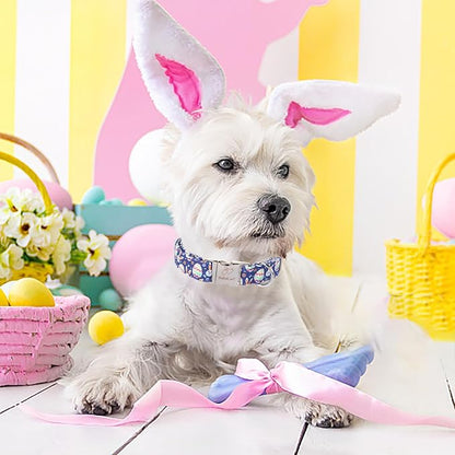 Easter Dog Collar, Cute Easter Bunny Eggs Pet Collar with Metal Buckel, Durable Adjustable Holiday Dog Collars for Small Medium Large Dogs XL