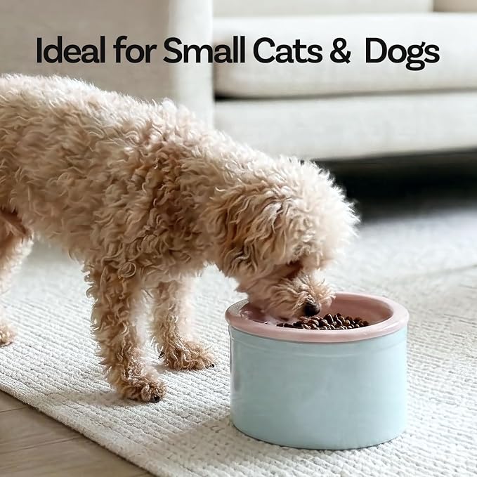 Hello Bowl Elevated Ceramic Cat Bowl with Stand, Raised Whisker-Friendly Feeding Bowl for Cats & Small Dogs, Patented Design, Made in Korea (Yellow, Round Only/Wet)