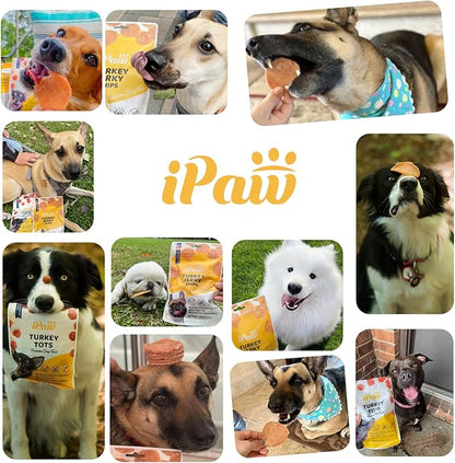 iPaw Chicken Tots Dog Treats for Puppy Training, All Natural Human Grade Dog Treat, Hypoallergenic, Easy to Digest (Chicken Tots)