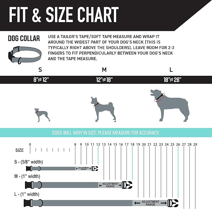 Wolfgang Heavy Duty, Adjustable Dog Collar with Quick Release Nylon Buckle for Walking & Training, Mixtape Print, Large