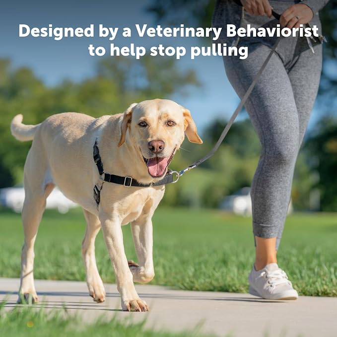 PetSafe Easy Walk Harness for Dogs - Pull-Free Walks - Patented Martingale Loop Design - Front Chest Leash Attachment - Comfort Straps - Breathable Harness Design - Large, Red/Black | Patented Martingale Loop Gives Gradual Shoulder Pressure to Stop Pul...