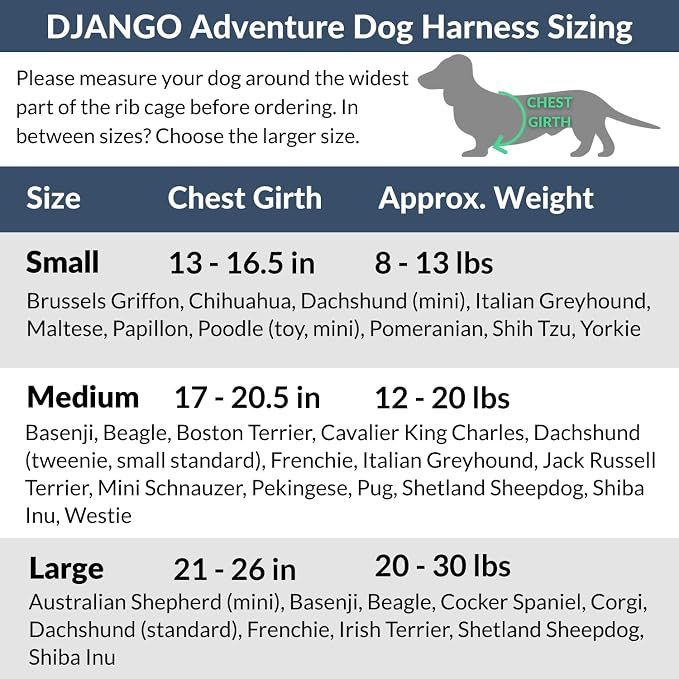Adventure Dog Harness - Stylish Large Dog Harness for Outdoor Adventures and Everyday Wear - Dandelion Yellow Neoprene Adjustable Harness for Dogs with Reflective Piping and Solid Brass D-Ring