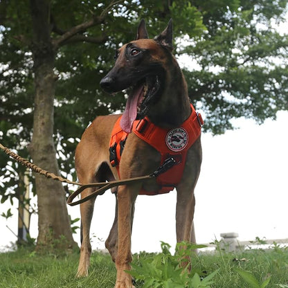 ICEFANG GN3 Tactical Dog Harness with 6X Buckle,Dog Molle Vest with Handle,3/4 Body Coverage,Hook and Loop Panel for ID Patch,No Pulling Front Clip (L (28"-35" Chest), Orange) | Control Handle,MOLLE Panel,Front Hook,3 Leash Clips,Soft Padded,for Walkin...