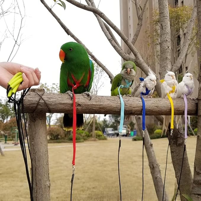 Adjustable Bird Harness with Elastic Leash, Pet Parrot Harness and Leash, Adjustable Training Design Anti-Bite, Bird Nylon Rope with Cute Wing for Conure (Deep Blue,2M)