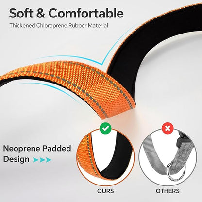 Reflective Dog Collar with Quick Release Buckle - Metal Ring - Adjustable Soft Neoprene Padded Basic Dog Collar for Small Medium Large Dogs (Orange, Medium :Width 1",Neck 13.8-19.6")