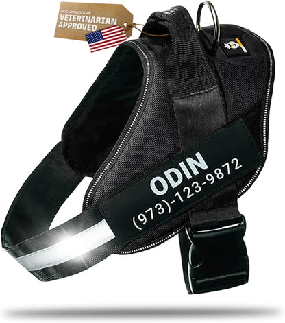 Personalized Dog Harness with Custom Name Patches, Adjustable Reflective No Choke Dog Vest with Handle for Small Dogs and Growing Puppy, Black, XS