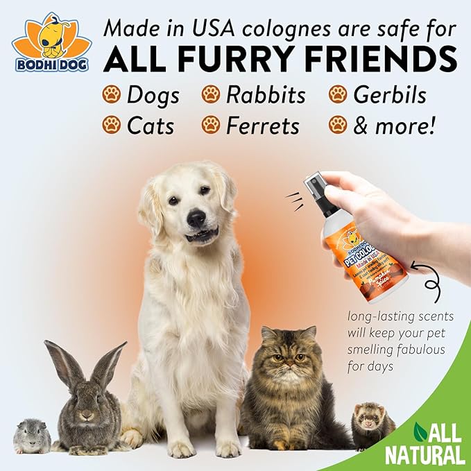 Bodhi Dog Premium Dog Cologne - Deodorizing Dog Perfume & Conditioner for Dogs & Cats - Natural Long Lasting Spray - Keeps Pets Fresh All Day - Gentle, Safe Formula, Made in USA -Pumpkin Spice 4 Fl Oz