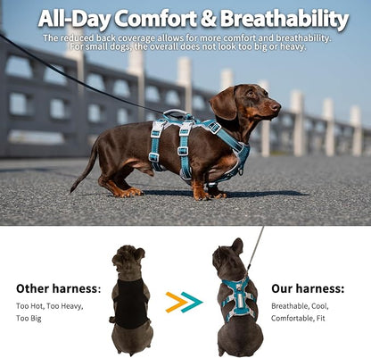 Escape Proof Dog Harness, No Pull Reflective Harness with Lift Handle, Adjustable Pet Vest with Front and Back Leash Clips for Small Medium Large Dogs Walking Hiking Training (Teal,L)