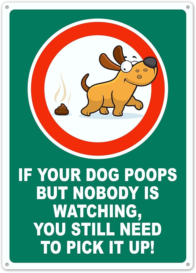 Brimar - 7 x 10" - You Still Need to Pick Up Poop Sign - .055″ Polyethylene Plastic- Clear Message - Easy Installation