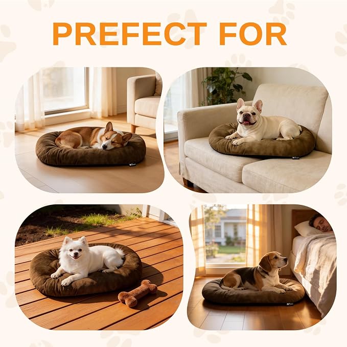 Washable Oval Dog Bed for Large Dogs, Silver-Tipped High-Resilience, Brown | Non-Slip Bottom Prevents Sliding, Soft Plush Short Fur, Machine Washable, Ideal for Crates/Apartments/Cozy Nooks,35"x22"x3.2"