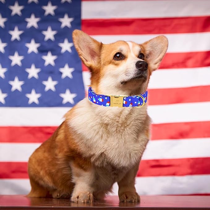 4th of July Dog Collar, Blue Flag Popsicle Patriotic Pet Collar with Metal Buckel, Adjustable Summer Holiday Dog Collars for Small Medium Large Dogs S