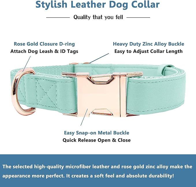 Soft Leather Dog Collar and Leash (6.6') Set - Stylish Rose Gold Heavy Duty Metal Buckle, 4 Adjustable Lengths Leash for Small Medium Large Dogs - Comfortable & Easy to Clean Mint Green XS(8"-12")
