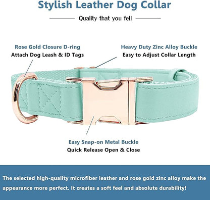 Soft Leather Dog Collar and Leash (6.6') Set - Stylish Rose Gold Heavy Duty Metal Buckle, 4 Adjustable Lengths Leash for Small Medium Large Dogs - Comfortable & Easy to Clean Mint Green XS(8"-12")