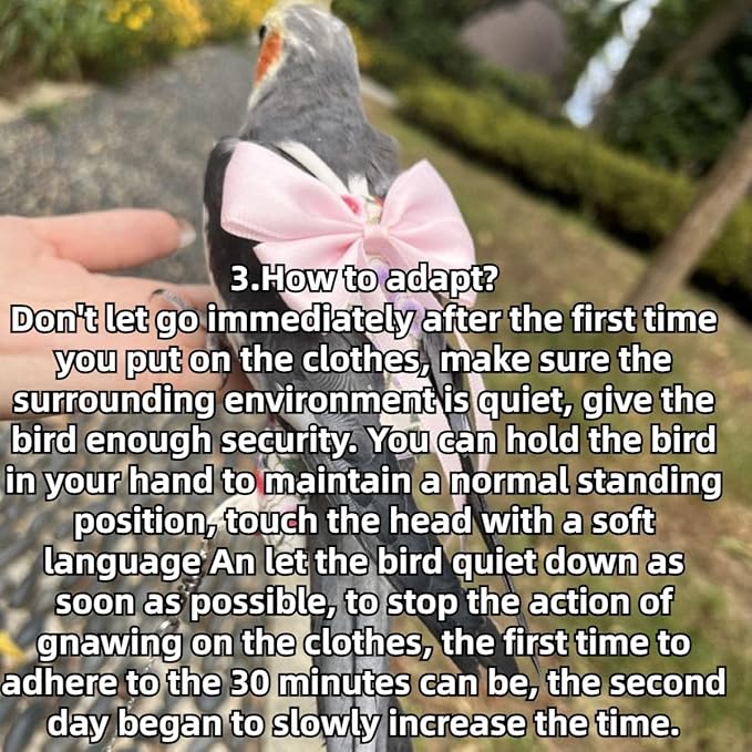 Bird Diaper Parrot Washable Diapers, Parrot Flight Suit, Reusable Nappies for Parakeet Cockatiel Mini Macaw Budgie Conure Lovebird (Beige,Macaw)