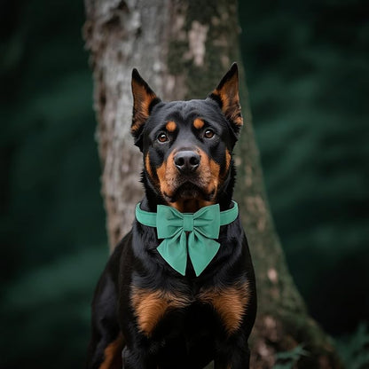 Maca Bates Jade Green Dog Collar with Cute Solid Sailor Bow Tie for Extra Small Girl Boy Dogs,Adjustbale Durable Breakaway Soft Collars with Bowtie for Female Male Puppy,Pet with Metal Buckle