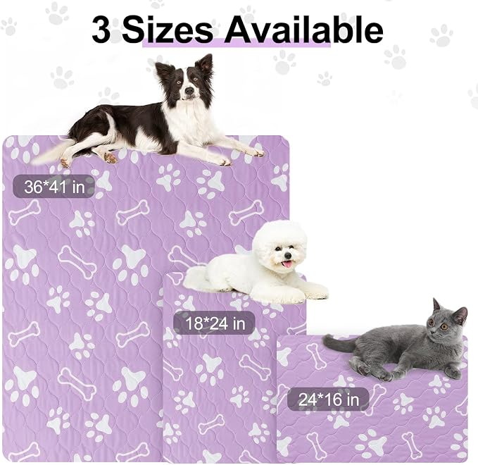 BEAUTYZOO 6 Pack Washable Pee Pads for Dogs,Reusable Puppy Pads 16x24 | Waterproof Super Absorbent,Non Slip and Leak-Proof Against Urine,Whelping Pads Mats for Puppy Potty Training,Playpen,Crate