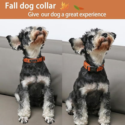 ARING PET Fall Dog Collar-Cute Orange Dog Collar for Small Dogs, Cotton Lightweight Dog Collars with Quick Release Buckle for Small Medium Large Dogs