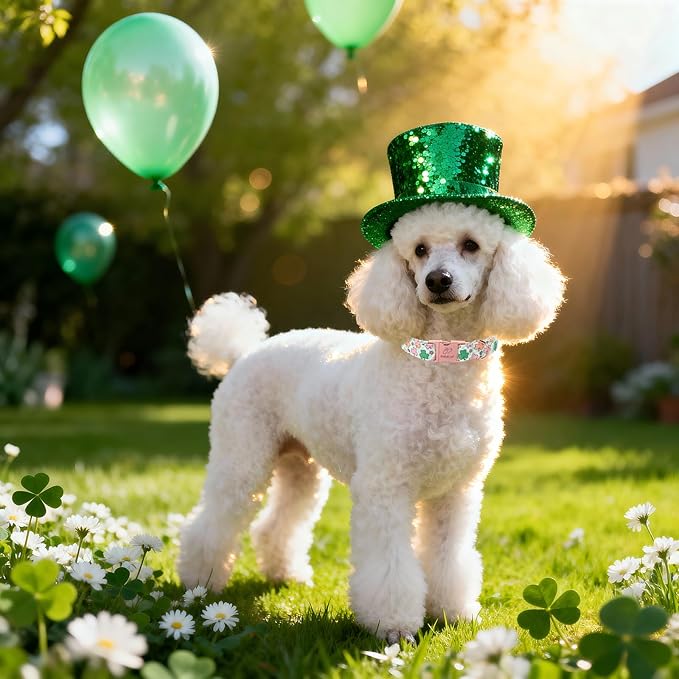 St. Patrick's Day Dog Collar for Medium Dogs - Lucky Clover Pastel Dog Collars, Irish Spring Shamrock Pet Collars, Adjustable Heavy Duty Dogs Collar with Metal Buckle M