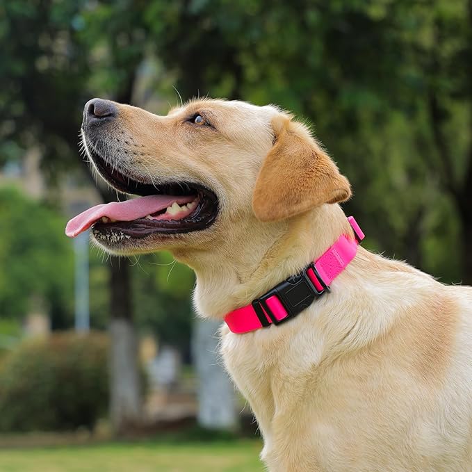 Waterproof Dog Collar, Easy to Clean Rubber Dog Collars with Quick Release Buckle Fits Small Medium or Large Dogs (Pink, L < 15.4-24.8 inch)