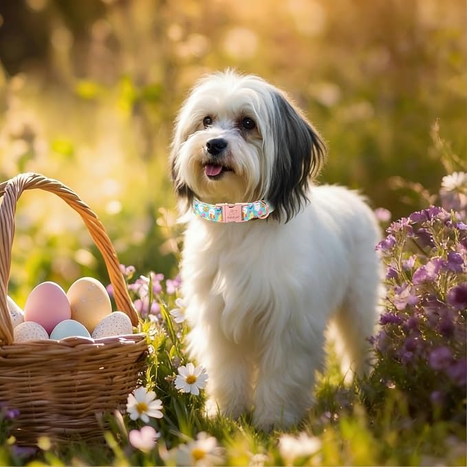 Easter Dog Collar, Cute Egg Hunt Easter Collars for Small Dogs, Playful Bunny & Chick Print, Adjustable Heavy Duty Boy Girl Spring Holiday Dog Collar with Metal Buckle S